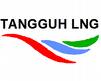 logo tangguh lng
